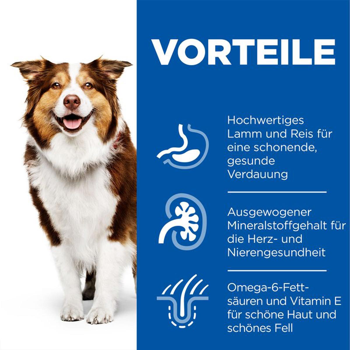 Hill's Science Plan Hund Medium Mature Adult 7+ Lamm & Reis 14kg