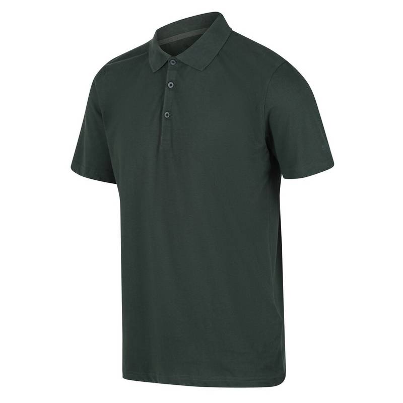 Regatta Sinton Poloshirt Herren