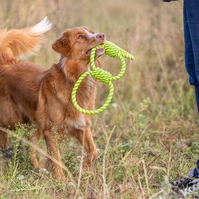 Trixie Hundespielzeug Tugger