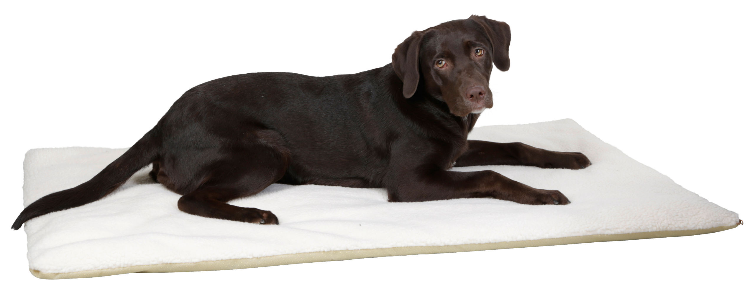 Kerbl Hundekissen Kerbl Pet Liegekissen Theo, Beige, 75x50x3cm M