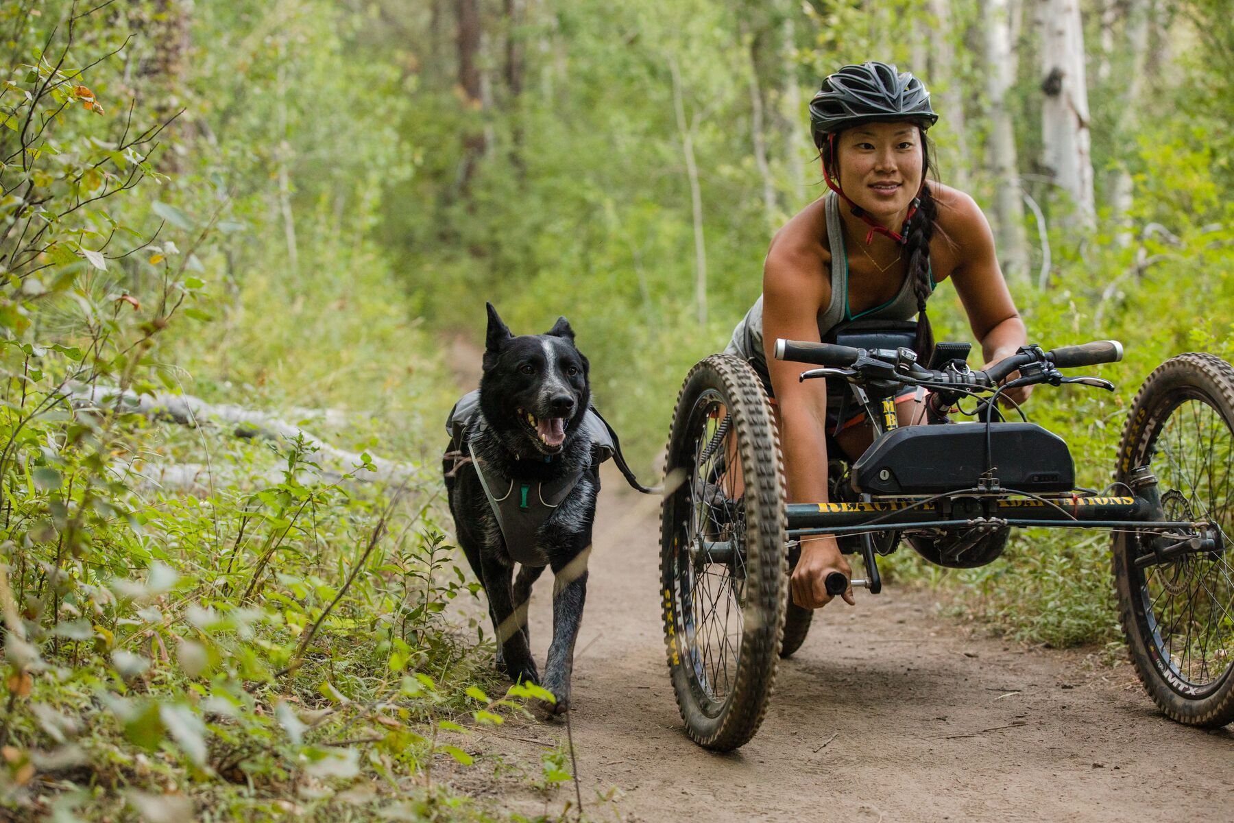 Ruffwear Hundeleinen Ruffwear Roamer™ Leine grau L