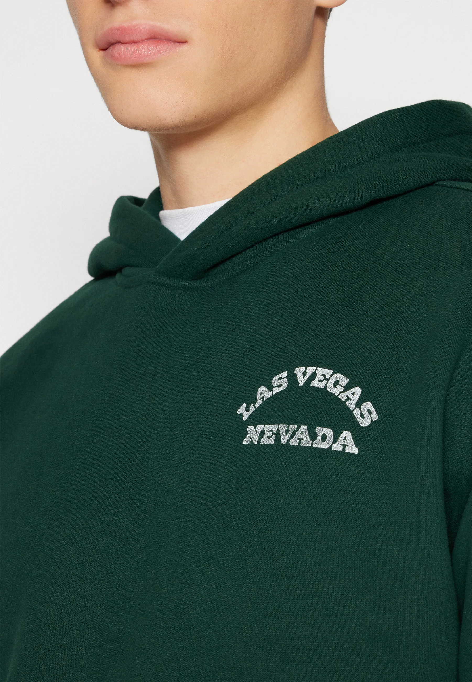 Hollister Co. DESTINATIONS - Sudadera