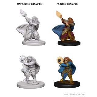 Dwarf Female Wizard: D&D Nolzurs Marvelous Unpainted Minis