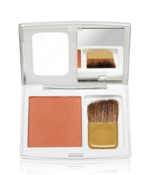 L'Oréal Paris Age Perfect Rouge-5 g