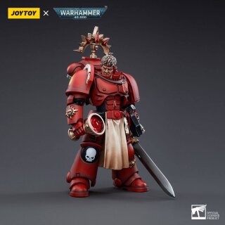 Warhammer 40k Actionfigur: Blood Angels Veteran Salus