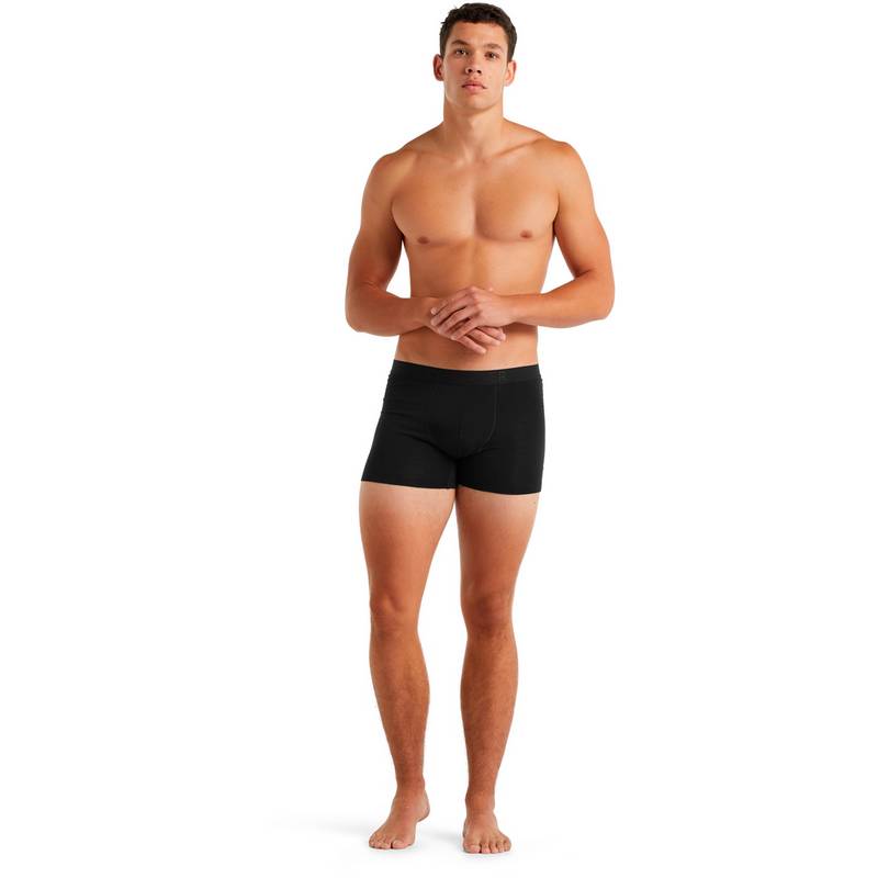 Icebreaker Anatomica Unterhose Herren