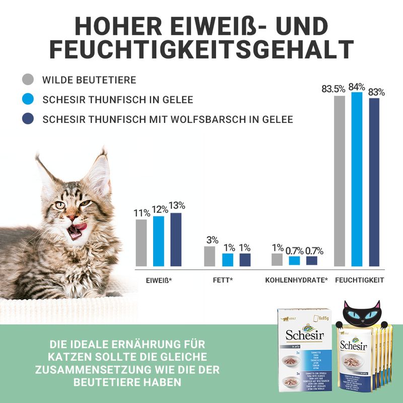 Schesir Jelly Pouch 6 x 85 g zu TOP-Preisen