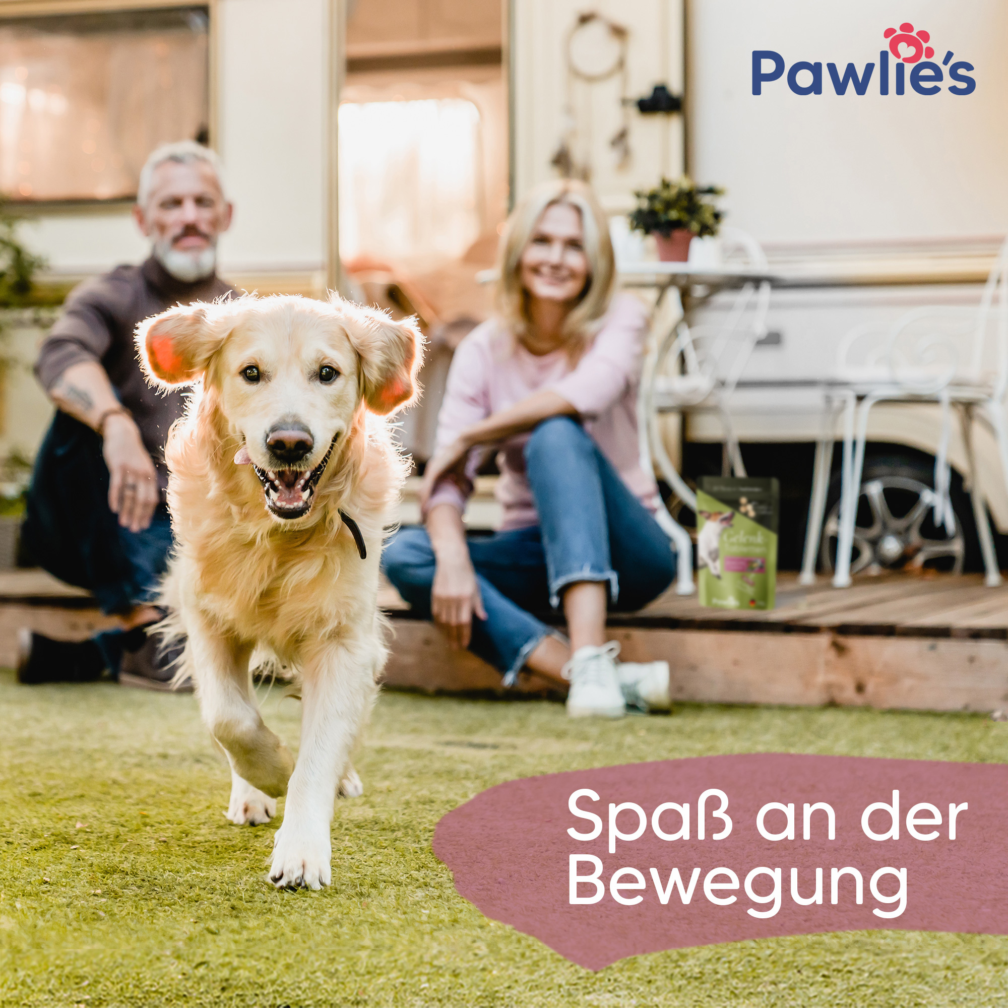 Pawlie's Ergänzungsfutter & Aufzucht Pawlie's Gelenk Fit Tabletten Hund (100 Stück)