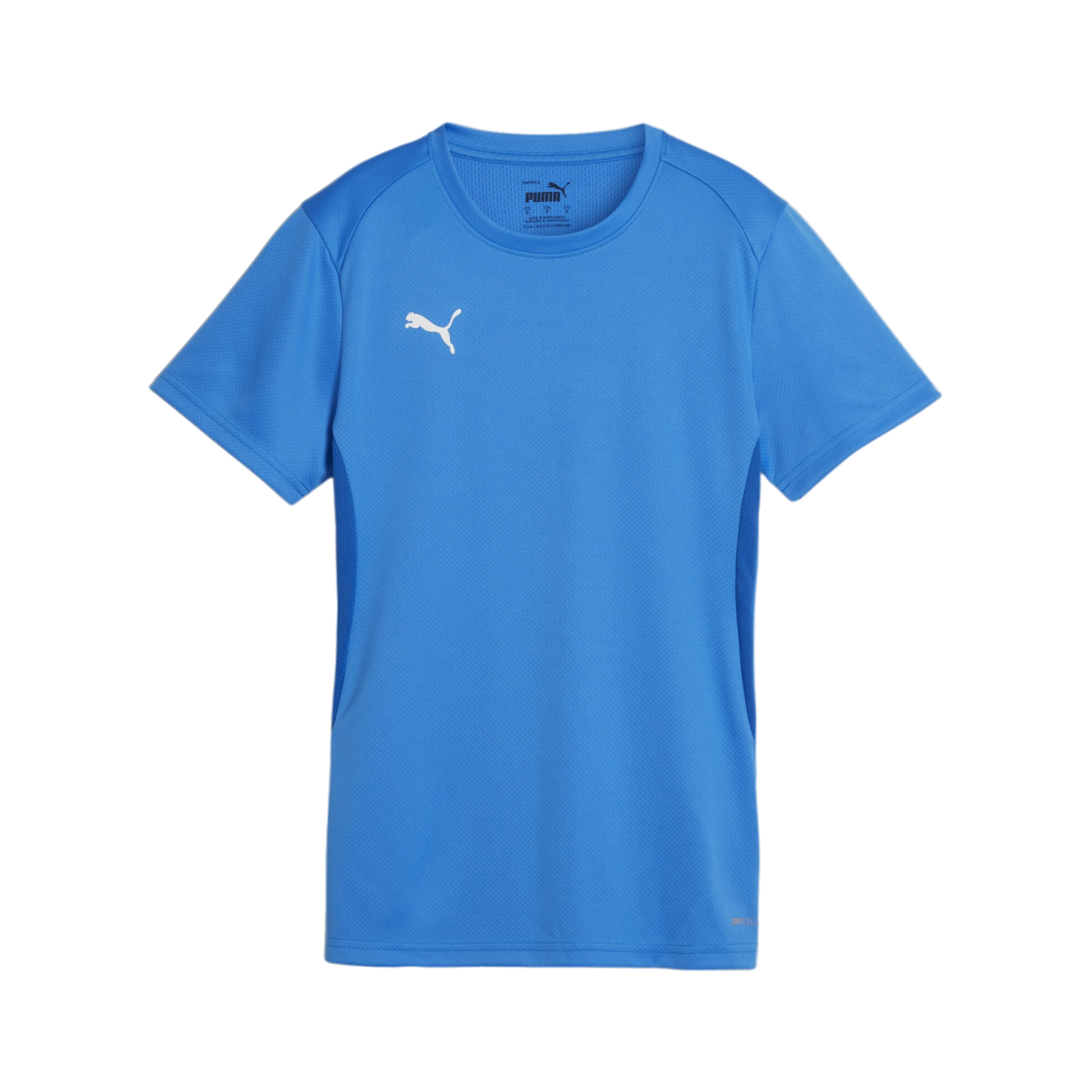 PUMA teamGOAL Trikot Damen Blau F02