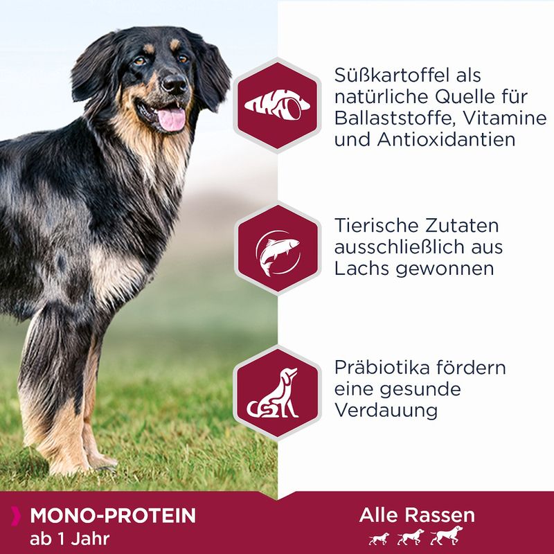 Eukanuba Adult Mono-Protein mit Lachs