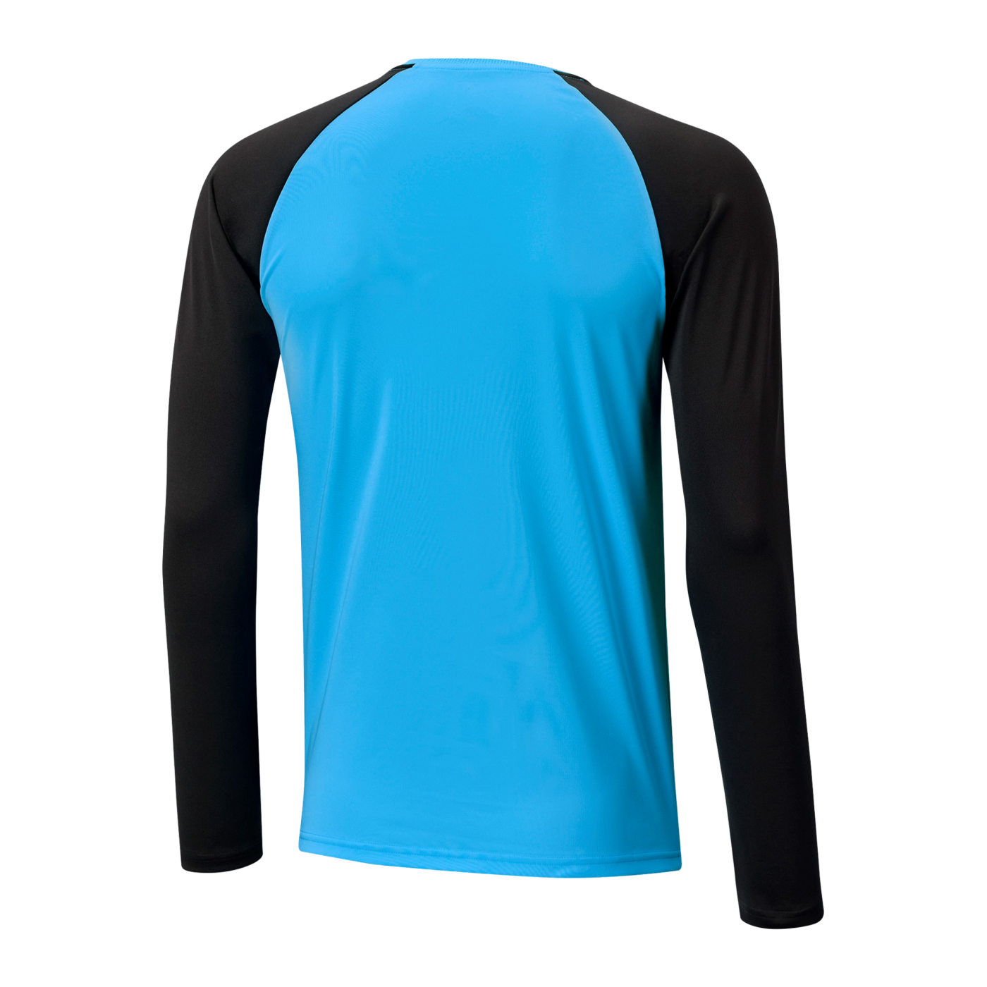 PUMA teamPACER Torwarttrikot langarm Blau F40