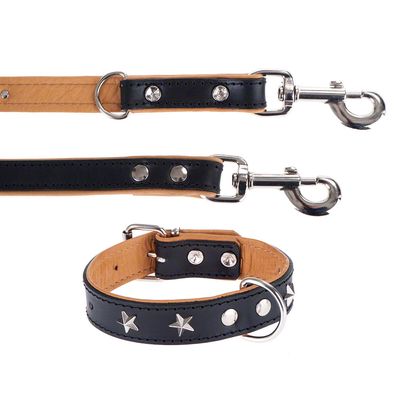 Heim Set: Vorführleine Stars + Lederhalsband Stars