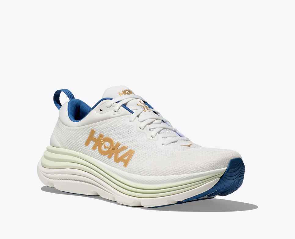 Gaviota 5 Frost / Gold