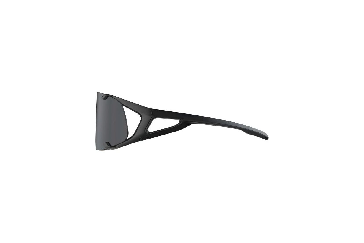 Alpina Hawkeye all black matt / black mirror lens
