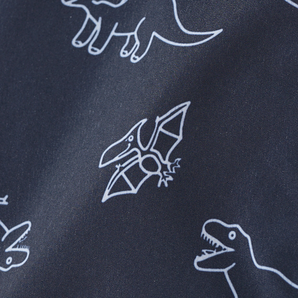 Jungen Regenjacke mit Dino-Allover