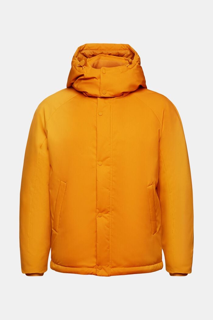 Daunenjacke mit Kapuze
