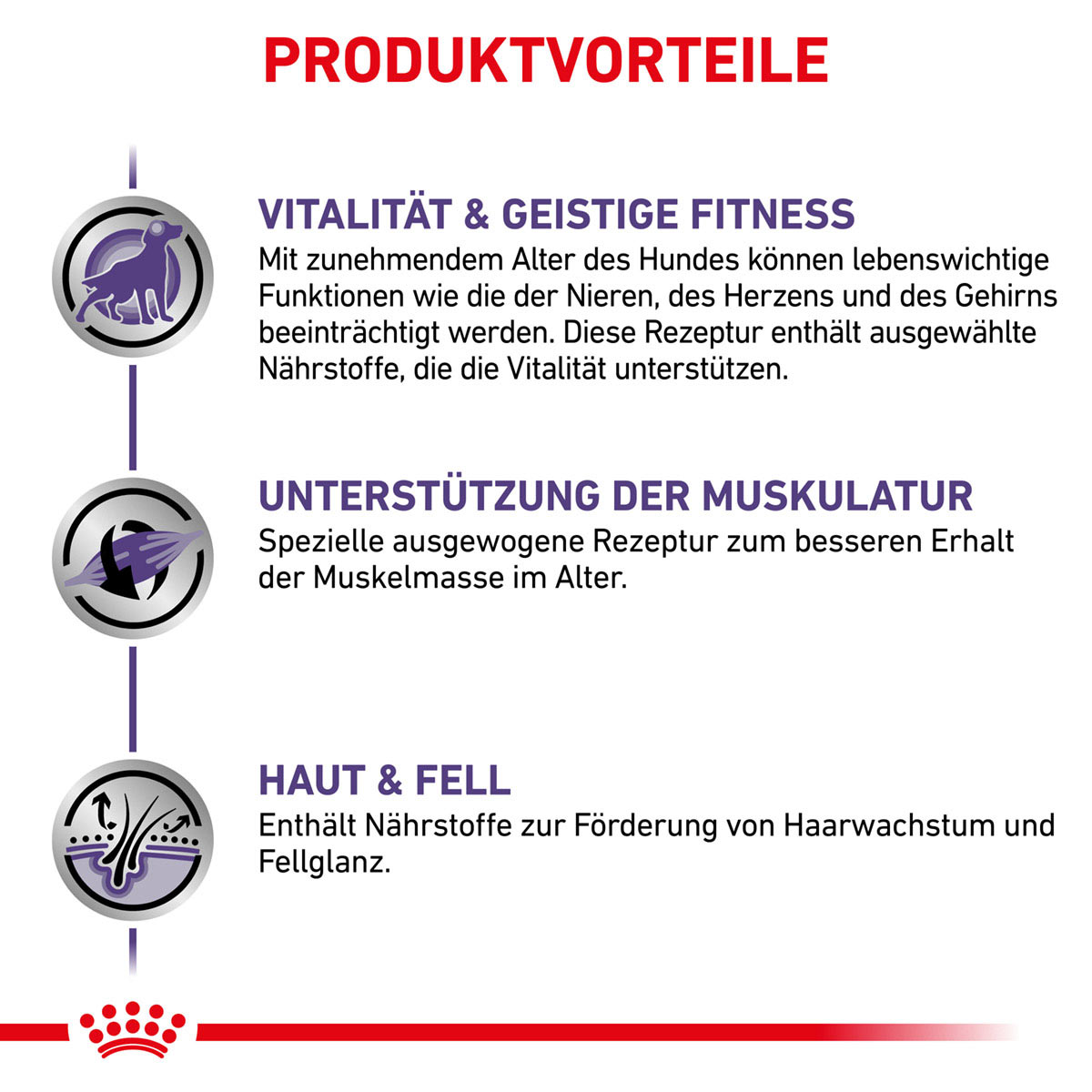 ROYAL CANIN Expert MATURE CONSULT Nassfutter für Hunde