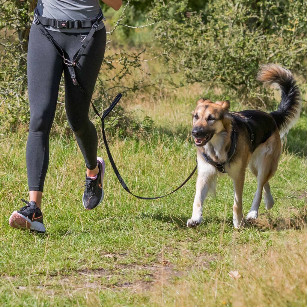 Trixie Hundeleinen Trixie Bauchgurt mit Leine für mittelgroße und große Hunde