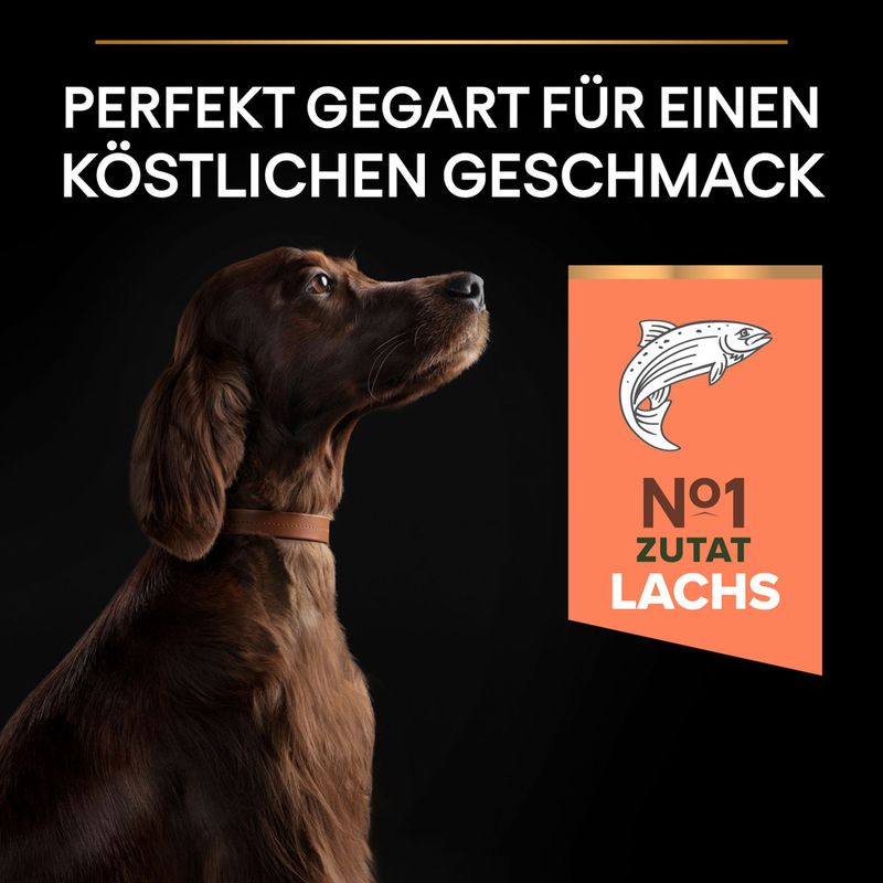 PURINA PRO PLAN Large Athletic Adult Sensitive Skin Lachs
