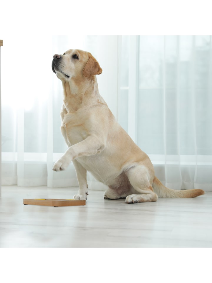 relaxdays Hunde-Intelligenzspielzeug in Mehrfarbig günstig kaufen onesize