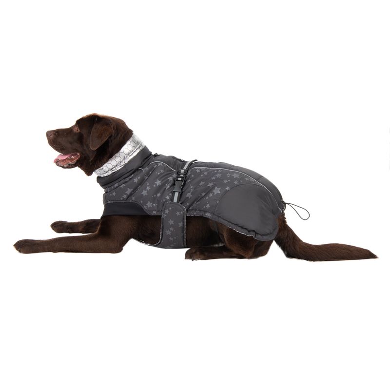 Hundemantel Reflecting Stars zu TOP-Preisen