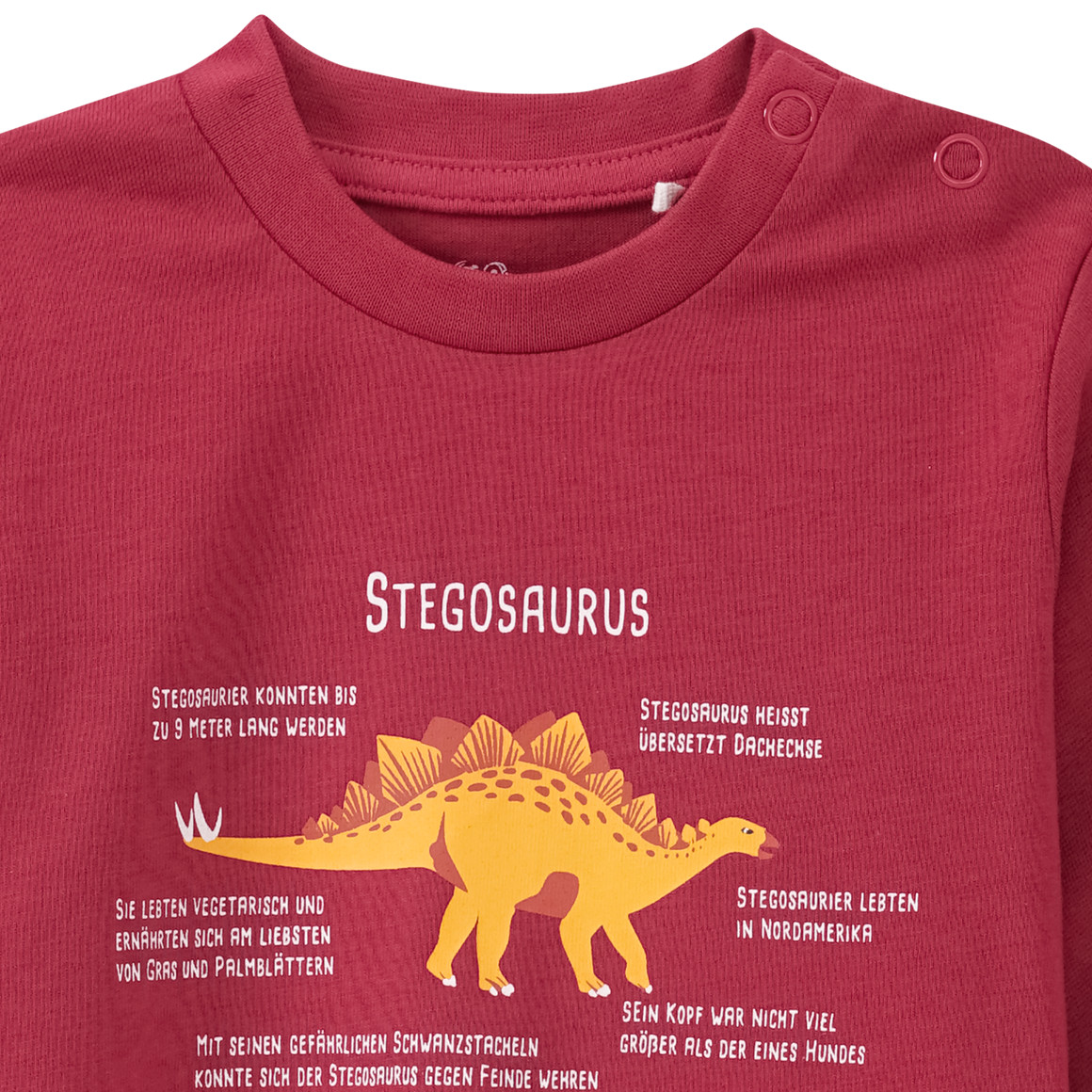 Baby Langarmshirt mit Stegosaurus-Print