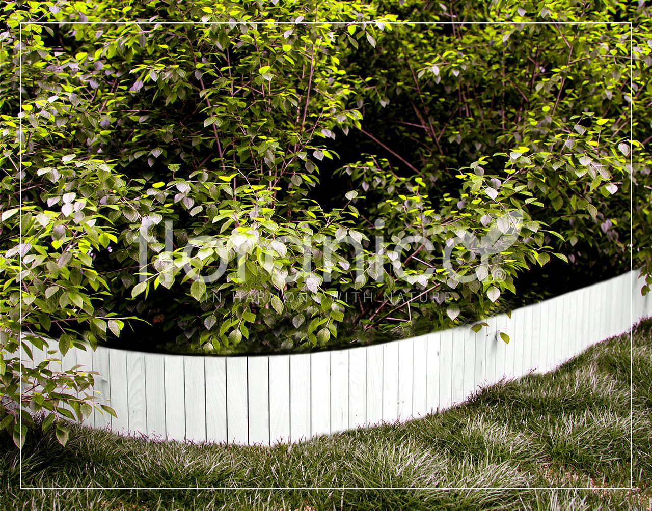 Pemicont Floranica Rollborder II Flexibler Holzzaun 203cm Höhe: 10cm Weiß Imprägniert Kiefernholz Beeteinfassung Rasenkante Palisade Beetumrandungen
