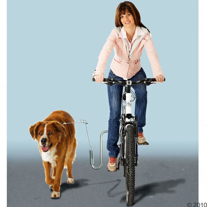 Kleinmetall Fahrrad-Leinenhalter DogRunner