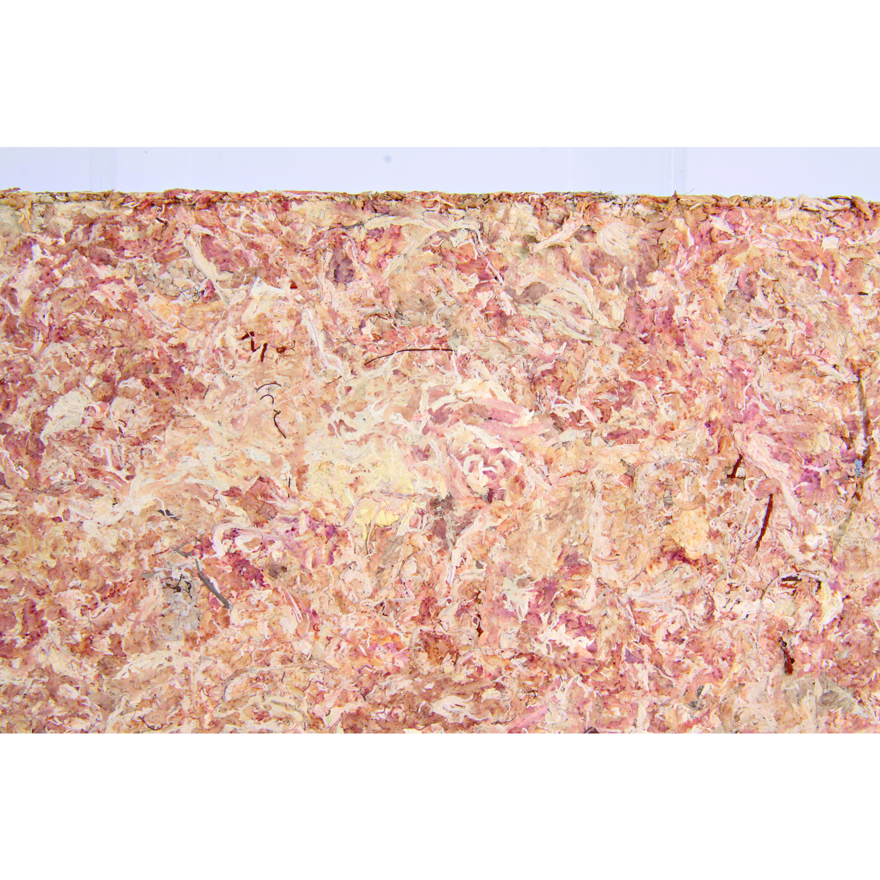 Trixie Bodengrund Trixie Reptiland Sphagnum Moos 100 g (ergibt 4,5l)