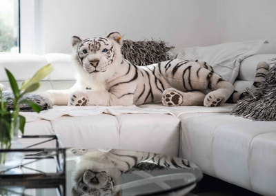 Tuhin, der weiße Tiger, 110 cm, weiß