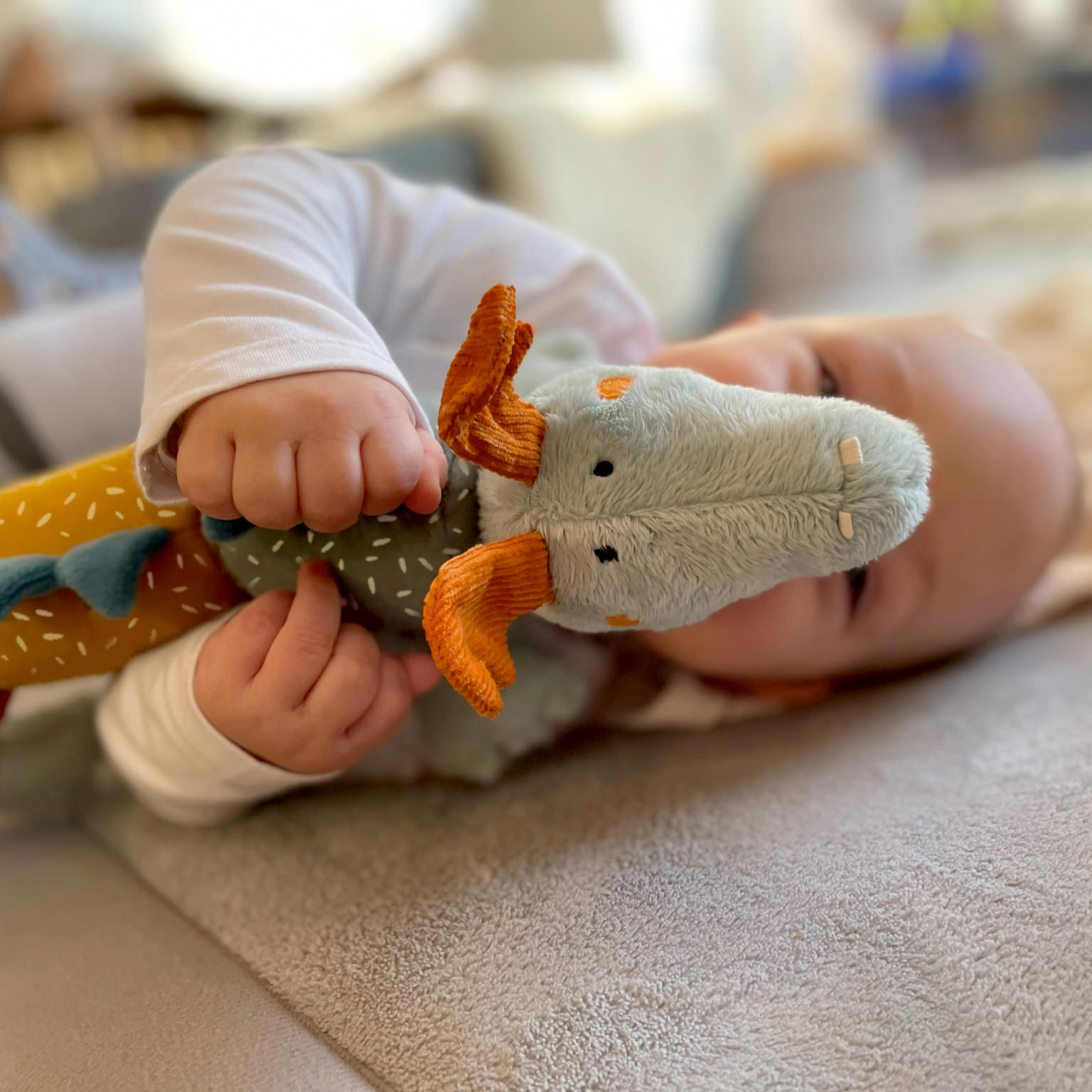 Baby Aktiv Klettdrache