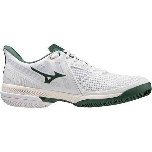 HERREN TENNISOUTDOORSCHUHE WAVE EXCEED TOUR 5CC(U)