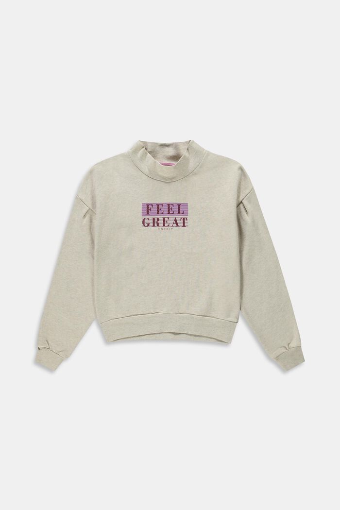 Sweatshirt mit Stehkragen und Statement-Print
