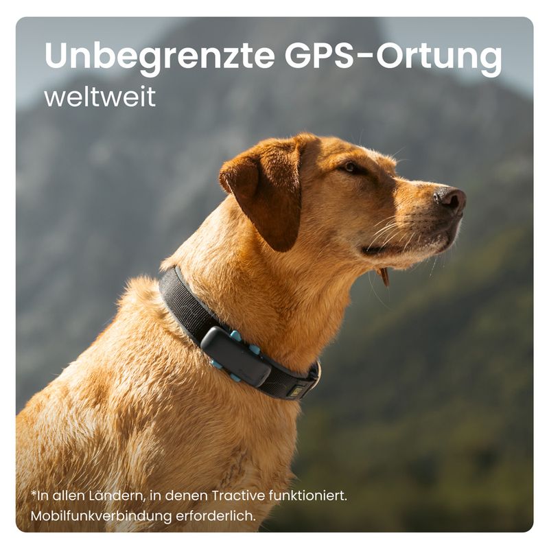 Tractive GPS Tracker für Hunde zu TOP-Preisen