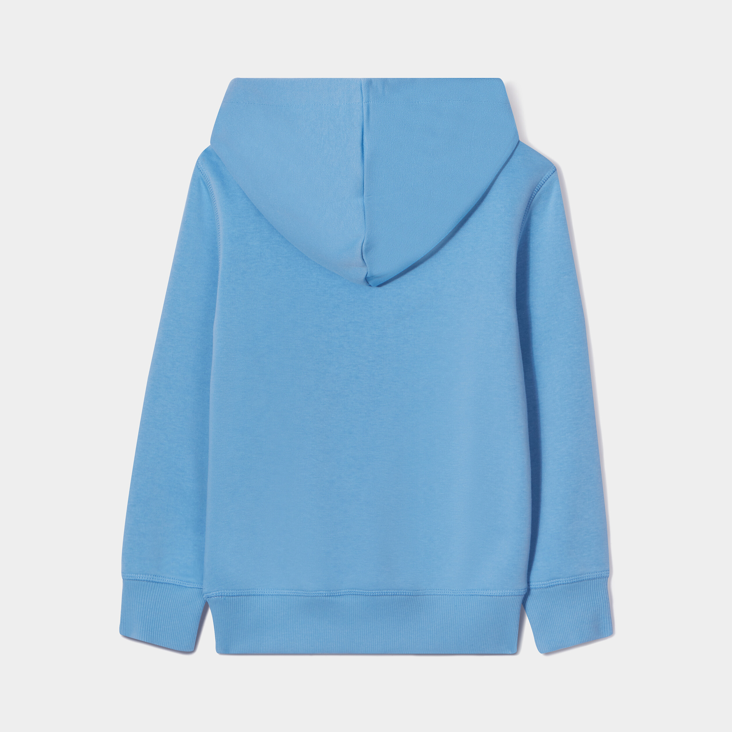 Sweat à capuche hoodie Creeks bleu garçon | La Halle