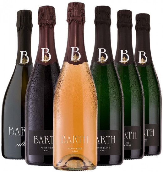 Großes VDP Sekt-Probierpaket BIO - Weingut Barth