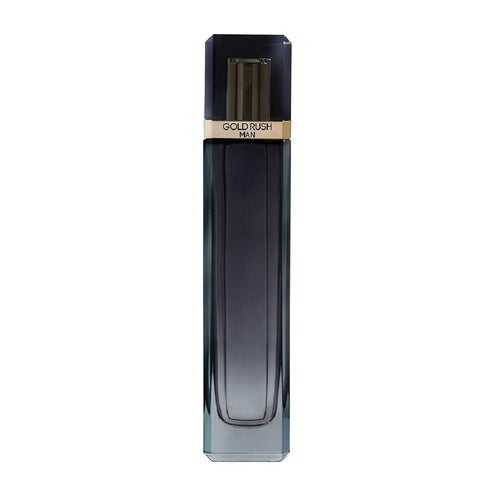 Paris Hilton Gold Rush Man Toilette 100 ml