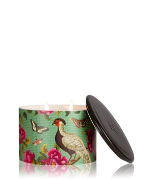 Wax Lyrical Street Mythology Twin Wick W/F Lime Blossom & Spiced Chai Duftkerze-246 g