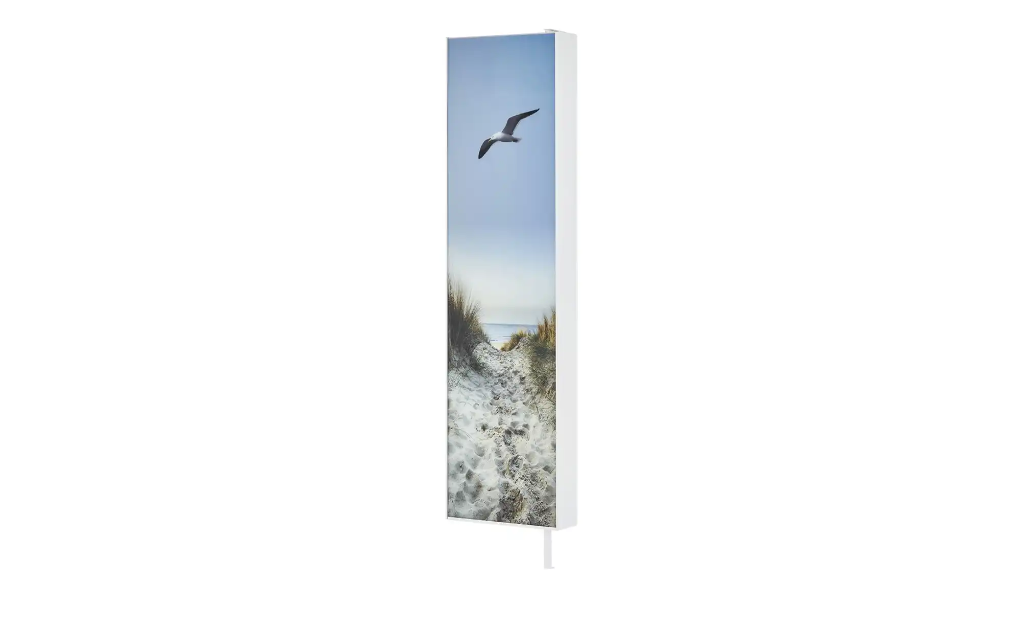 Mehrzweckschrank