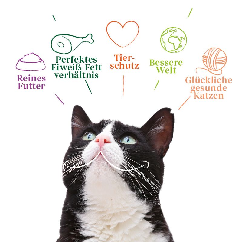 Yarrah Bio Sterilised zu TOP-Preisen