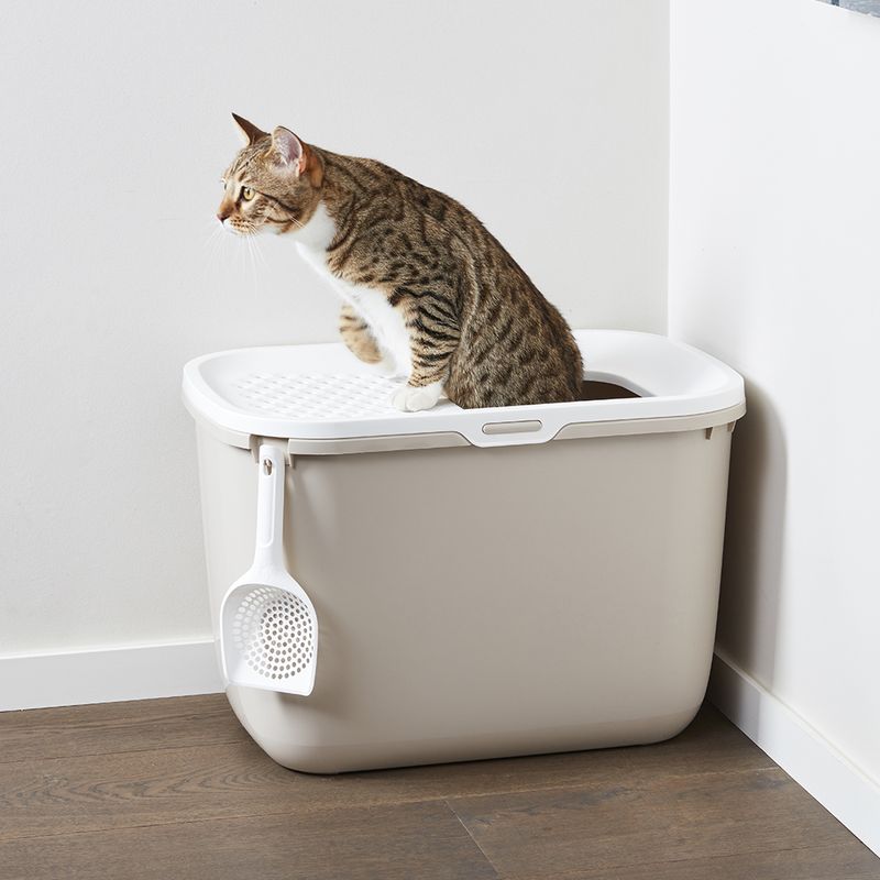 Savic Katzentoilette Hop In zu TOP-Preisen