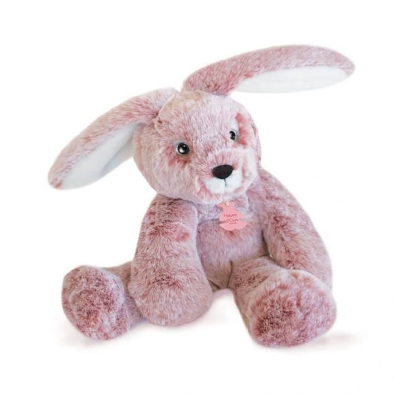 Histoire d'Ours