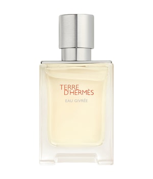 HERMÈS Terre d'Hermès Eau Givrée Refillable Spray Eau de Parfum-50 ml