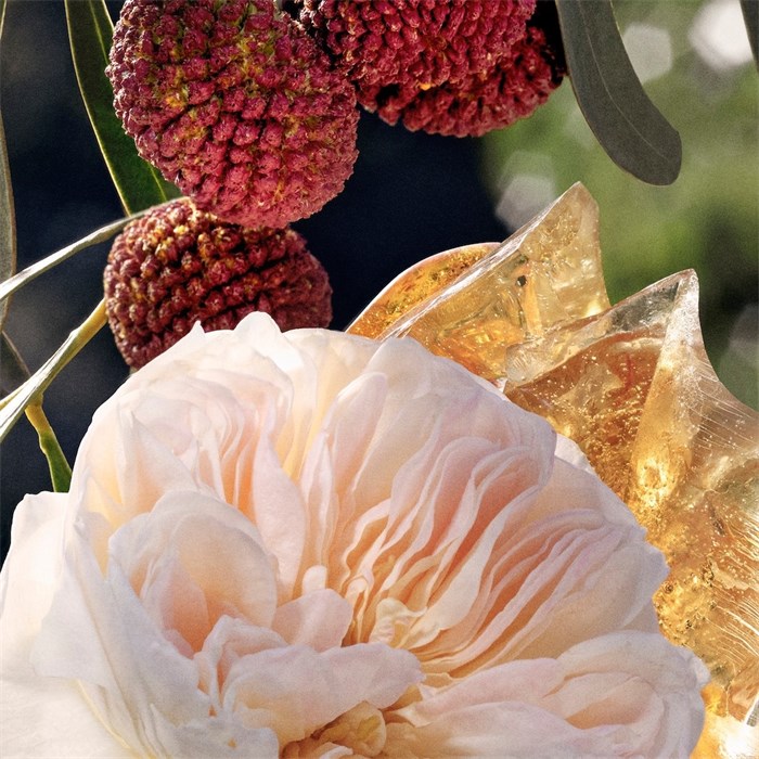 Eau de Parfum Spray