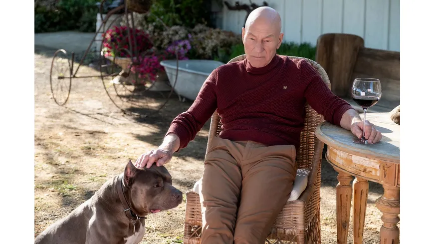 STAR TREK: Picard - Staffel 1  [4 DVDs]