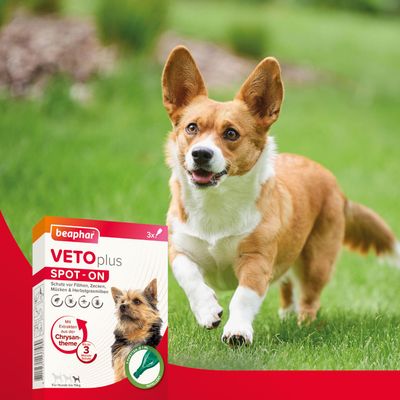 beaphar VETOplus SPOT-ON für kleine Hunde