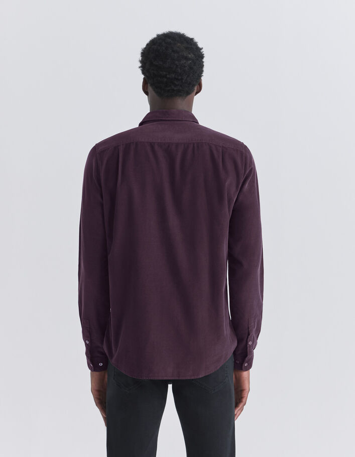 Chemise REGULAR dark plum en velours milleraies Homme