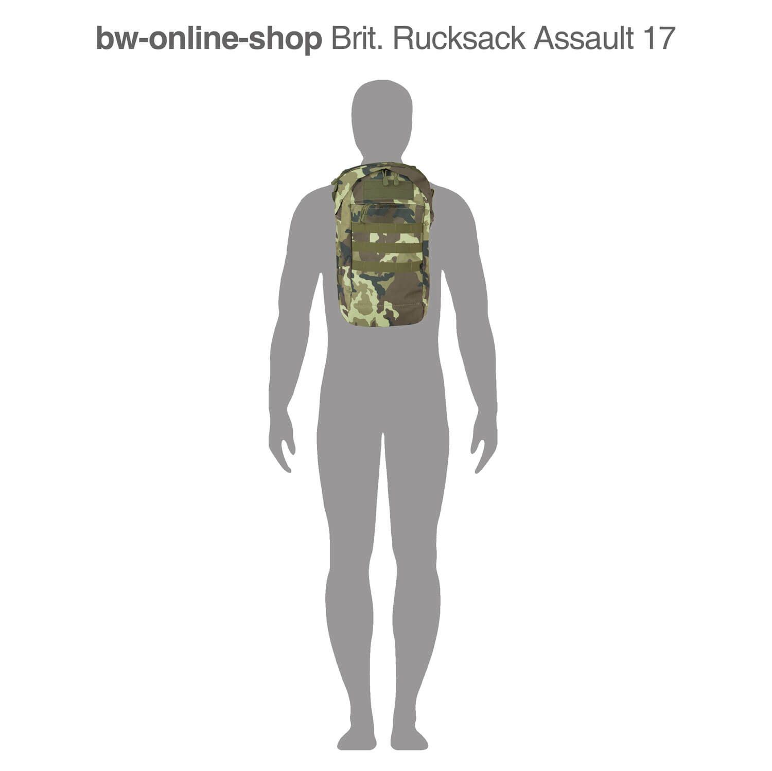 Brit. Rucksack Assault 17