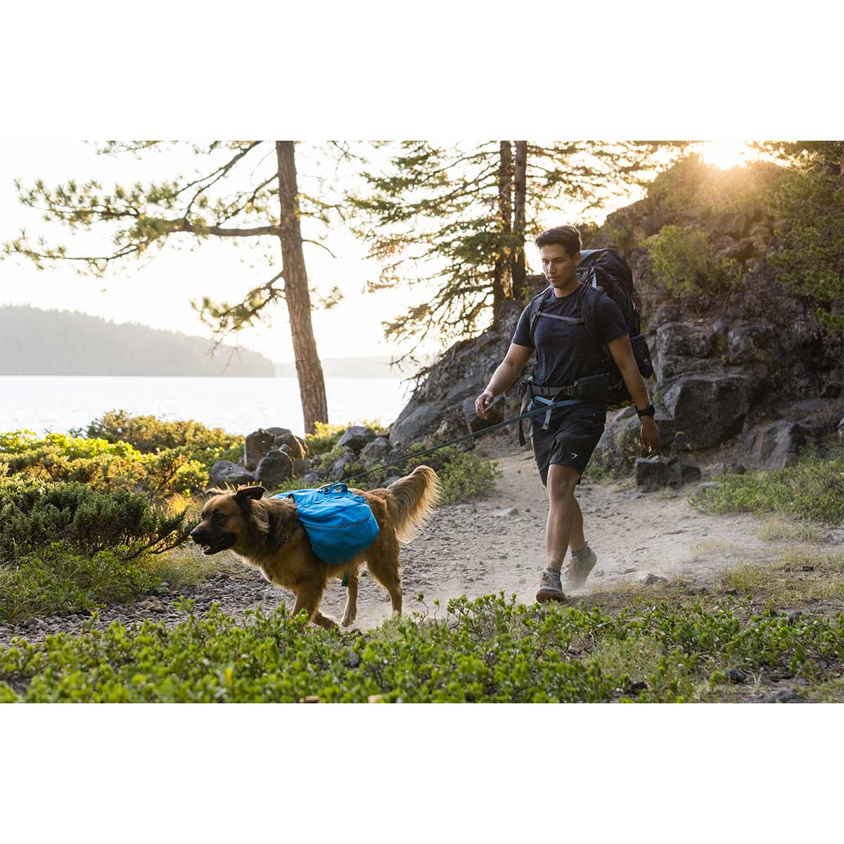 Ruffwear Geschirr Flagline Blue Dusk günstig kaufen bei ZooRoyal