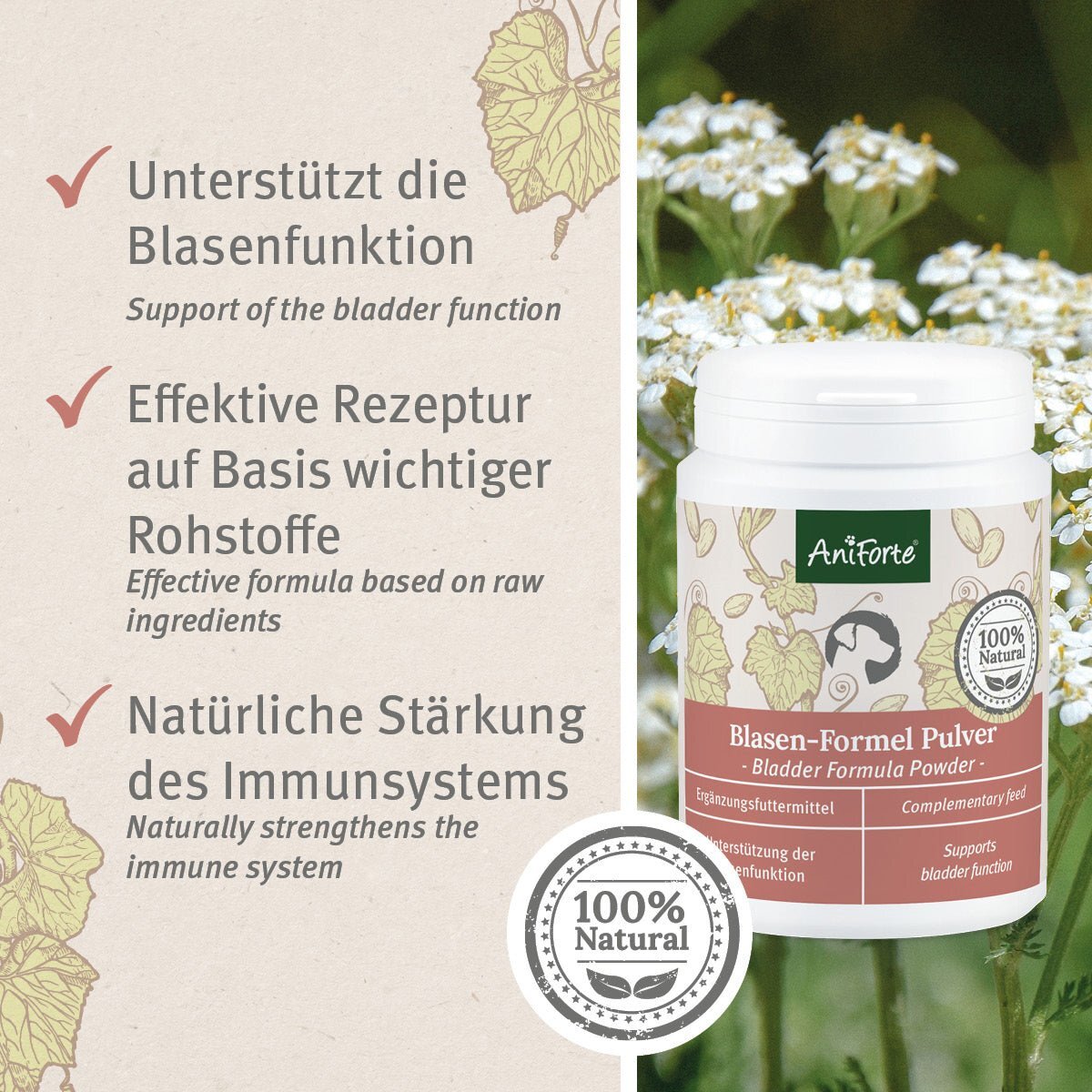 Aniforte Ergänzungsfutter & Aufzucht Aniforte Blasen-Formel 100 g